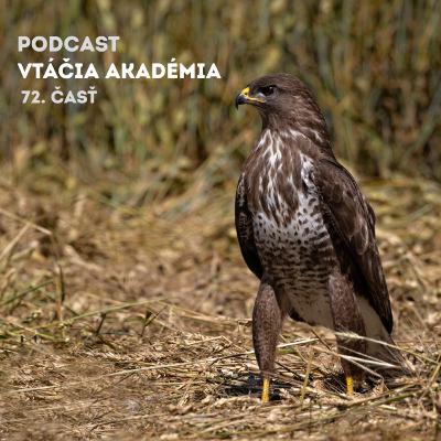 VIEME PRVÍ! VIEME PRVÍ!