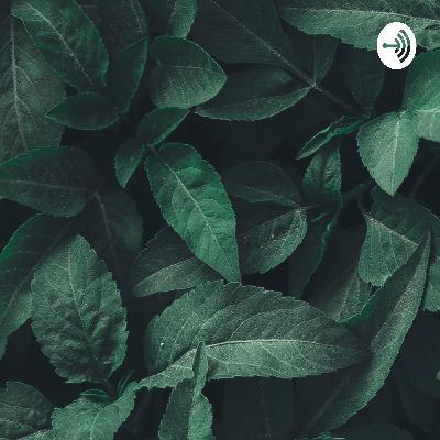 Поезія Івана Франка