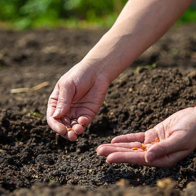 Sowing and Reaping - Pastor John Kwame Dompreh