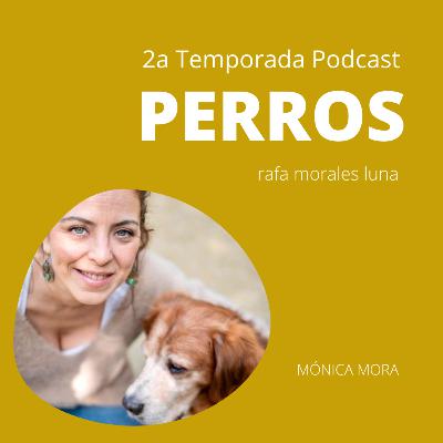 PSICOAROMATERAPIA PARA PERROS - MÓNICA MORA