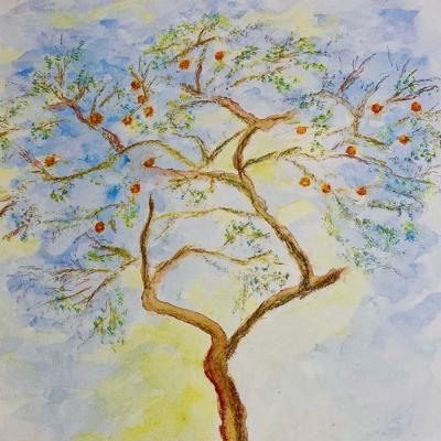 Caio, Sementes de Laranjas Caio, Sementes de Laranjas