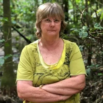 Background on Water extraction at Springbrook Background on Water extraction at Springbrook