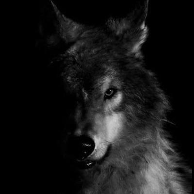 Ep. 58 - Politietterforskeren