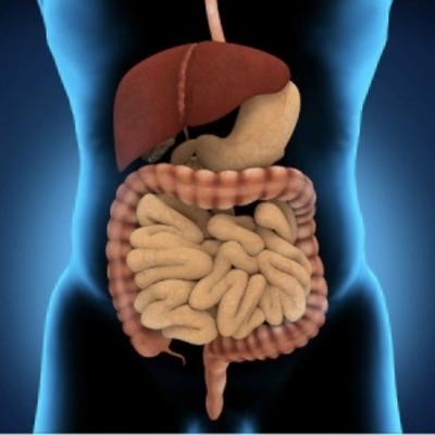 El origen de las enfermedades y Ayurveda