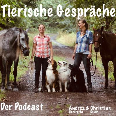 Krisen Teil 1