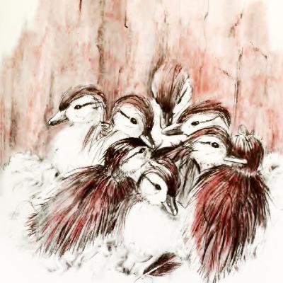 बदकांचे घरटे बदकांचे घरटे