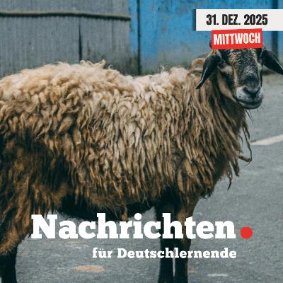 #238 Nachrichten für Deutschlernende vom 31. Dezember 2025 | Nachrichten in Einfacher Sprache