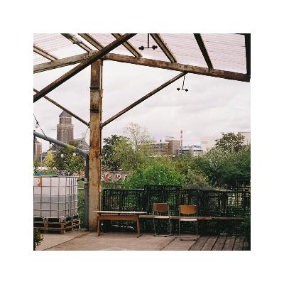 0196.WIE WOLLEN WIR ARBEITEN?