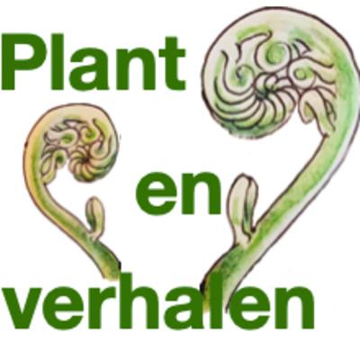 20 - Bloemwonderen in Amsterdam, over o.a. de Mariadistel