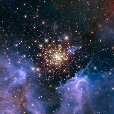 Coming Soon! Wonder Cabinet! Coming Soon! Wonder Cabinet!