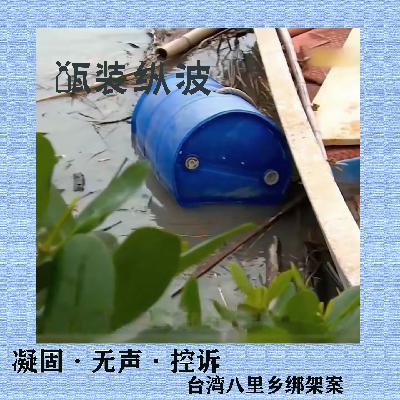 5.凝固·无声·控诉：台湾八里乡绑架案