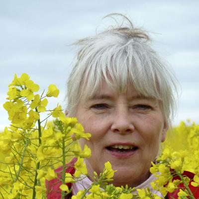 Threes Brouwers: Wie het licht wil zien, moet het duister omarmen Threes Brouwers: Wie het licht wil zien, moet het duister omarmen