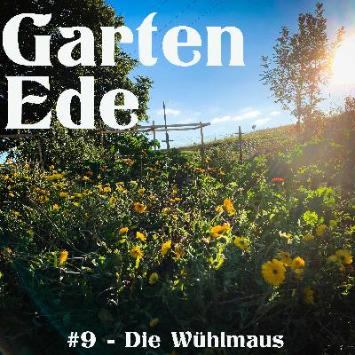 Mi Casa 191 | Como funciona o investimento em segunda residência COMPARTILHADA com Roberto Pinheiro da MyDoor Mi Casa 191 | Como funciona o investimento em segunda residência COMPARTILHADA com Roberto Pinheiro da MyDoor