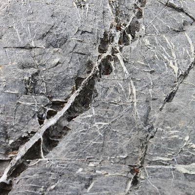 Spuren - Geschichten des Ensemble L'ART POUR L'ART