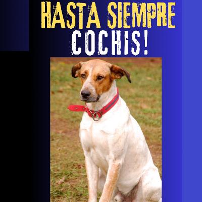Hasta siempre Cochis!