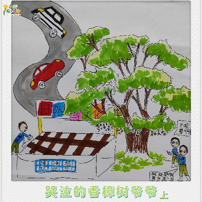 【亲亲自然】哭泣的香樟树爷爷（上）