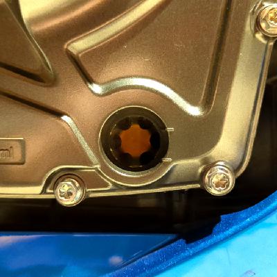 Terminology Dermatology Terminology Dermatology