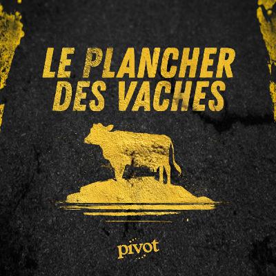 Saison 6- Épisode 3 - IA, banques et manifestations de la génération Z