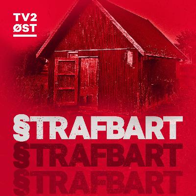 Gruppevoldtægten i skuret Gruppevoldtægten i skuret