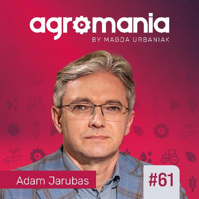 #61 - Zielony ład – gdzie popełniono błąd?