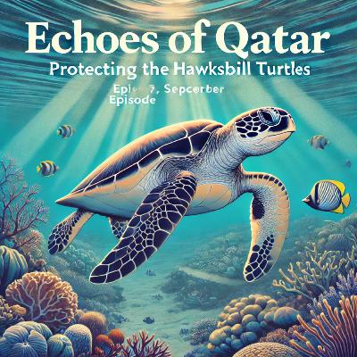 Protecting Qatar’s Sea Turtles