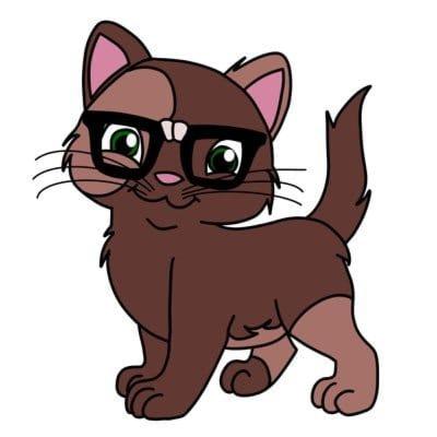 #Nordstadtkatzen