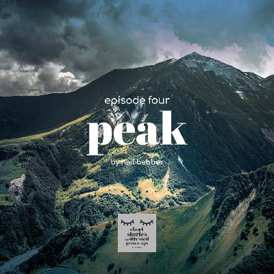 PEAK by Neil Bebber