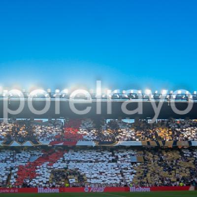 ECDF 8x38. ¡El Rayo jugará en Europa! ECDF 8x38. ¡El Rayo jugará en Europa!