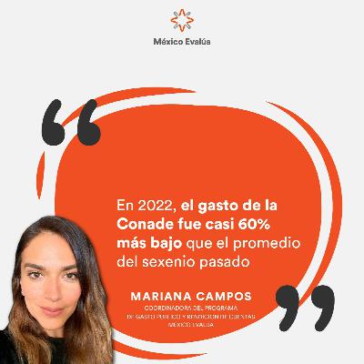 Conade: la cuantificación del abandono a los atletas Conade: la cuantificación del abandono a los atletas