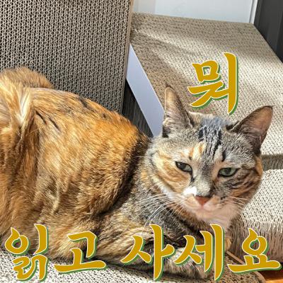 뭐 읽고 사세요? 뭐읽사 6회 : 사명을 찾아서, 어느 서민 여성의 삶 노년 죽음, 아름다운 여름
