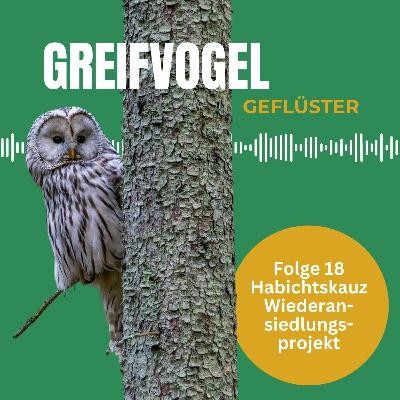 Die Rückkehr des Habichtskauzes: Ein Erfolgsgeschichte