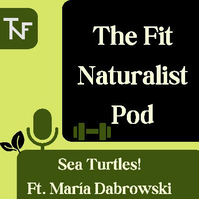 Sea Turtles! Ft. María Dabrowski