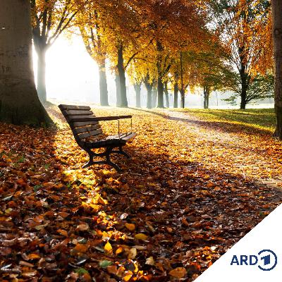 Heiter Weiter: Mit neuen Kräften in den Herbst