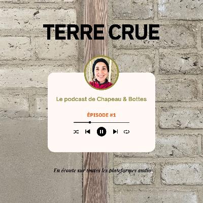 Episode 7 : Les enduits en terre crue