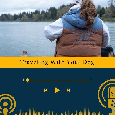 Traveling With Your Dog Marvin Pierce Dog Teacher Traveling With Your Dog Marvin Pierce Dog Teacher