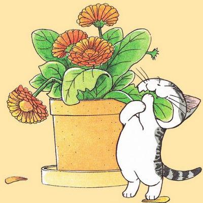 Puebla y su población