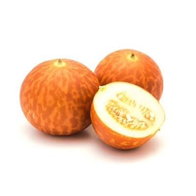 Tigger Melons: All About Japanese Tiger Melon Plants and Seeds with Bloom Ranch of Acton's Complete Growing Guide