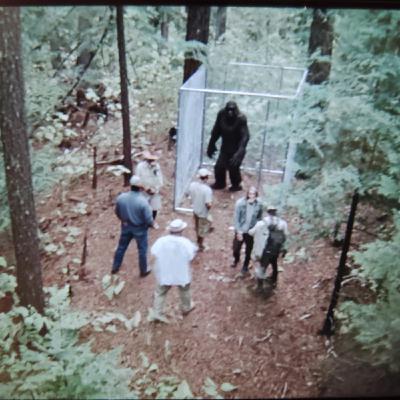 3 TRUE SCARY CRYPTID ENCOUNTER HORROR STORIES