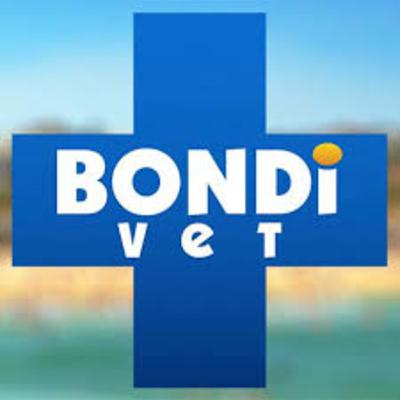 Bondi Vet Podcast #2; COVID-19 Special, Dr Leigh Davidson, Dr Danni Dusek, Luke Hura