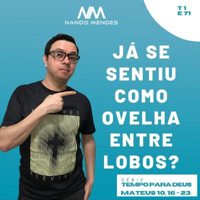 #71 - JÁ SE SENTIU COMO OVELHA ENTRE LOBOS? MATEUS 10, 16-23