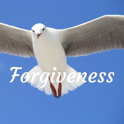 Chapter Nine: Forgiveness for Others Part Two Chapter Nine: Forgiveness for Others Part Two