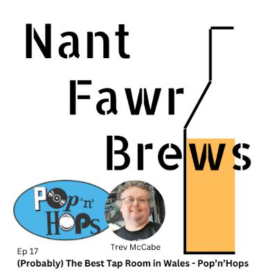 (Probably) The Best Tap Room In Wales - Pop'n'Hops