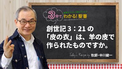 創世記3：21の「皮の衣」は、羊の皮で作られたものですか。（458)