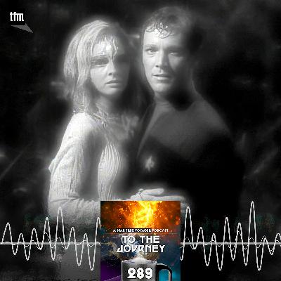 289: Murder by Numbers 289: Murder by Numbers