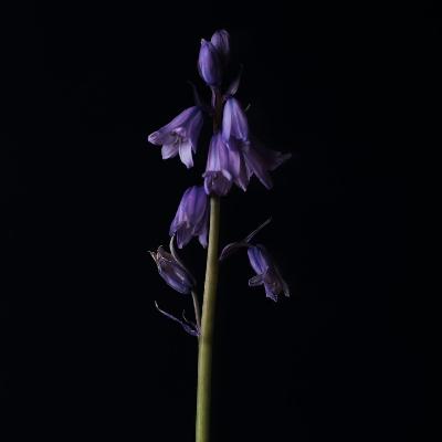 Season 1 Episode 7 with Kristin Danger Sweeting Season 1 Episode 7 with Kristin Danger Sweeting