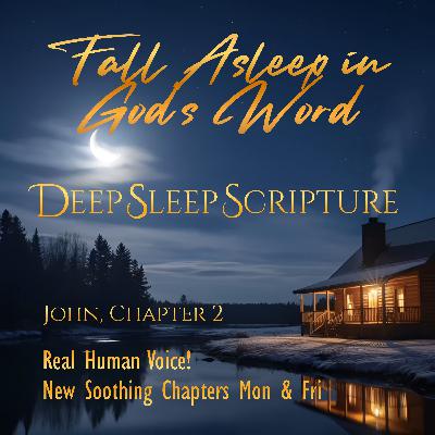 John, Chapter 2 – 30 min. Deep Sleep Scripture Sleep Bible Chapters #BibleForSleep #BibleAudio John, Chapter 2 – 30 min. Deep Sleep Scripture Sleep Bible Chapters #BibleForSleep #BibleAudio