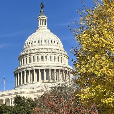 Some American People - XXXVII - Washington, D.C., National Mall