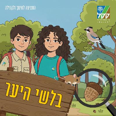 פרק 3 - אלת הבוטנה