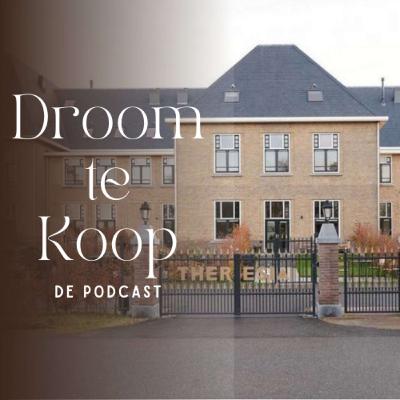 S2 E8 Simone - Een kunstgalerie in je eigen huis