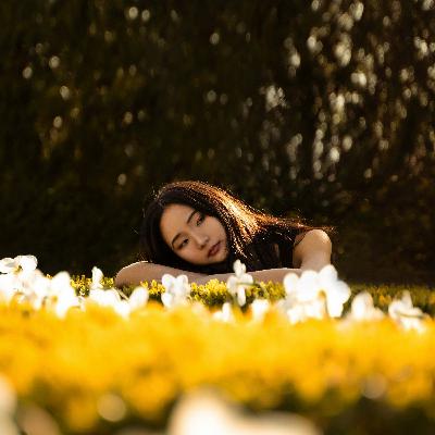 Best Melodic EDM Music 2025 (Illenium, Alan Walker, Seeb)